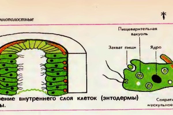 Кракен безопасный вход