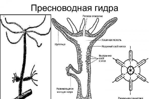 Кракен обход